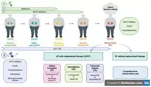 Multiple body-weight variability measures may worsen kidney function in type 1 diabetes patients: Study