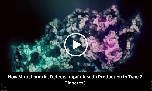 How Mitochondrial Defects Impair Insulin Production in Type 2 Diabetes? Study Sheds Light