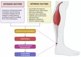 One-Stage Microsurgical Reconstruction tied to improved ankle joint function for Achilles Tendon Defects: Study