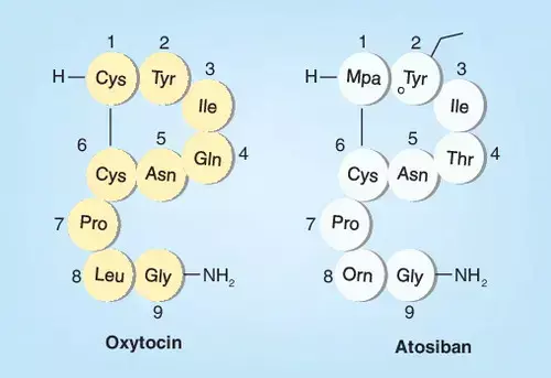 Atosiban for Preterm Birth: Prolongs labour but not Neonatal outcomes, finds study