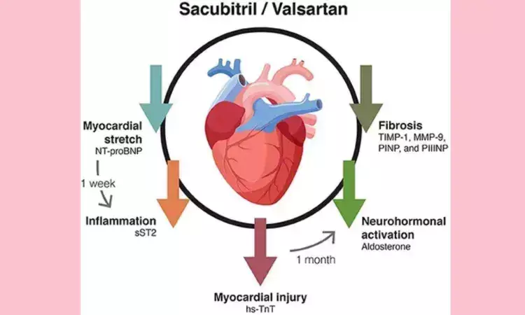 Sacubitril/Valsartan may Improve Diabetic Cardiomyopathy via Immunomodulation of Inflammation: Study Sacubitril/Valsartan may Improve Diabetic Cardiomyopathy via Immunomodulation of Inflammation: Study