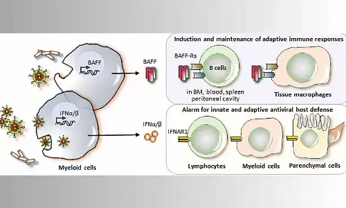Belimumab Superior to Placebo in Systemic Lupus Erythematosus Treatment: Study Belimumab Superior to Placebo in Systemic Lupus Erythematosus Treatment: Study