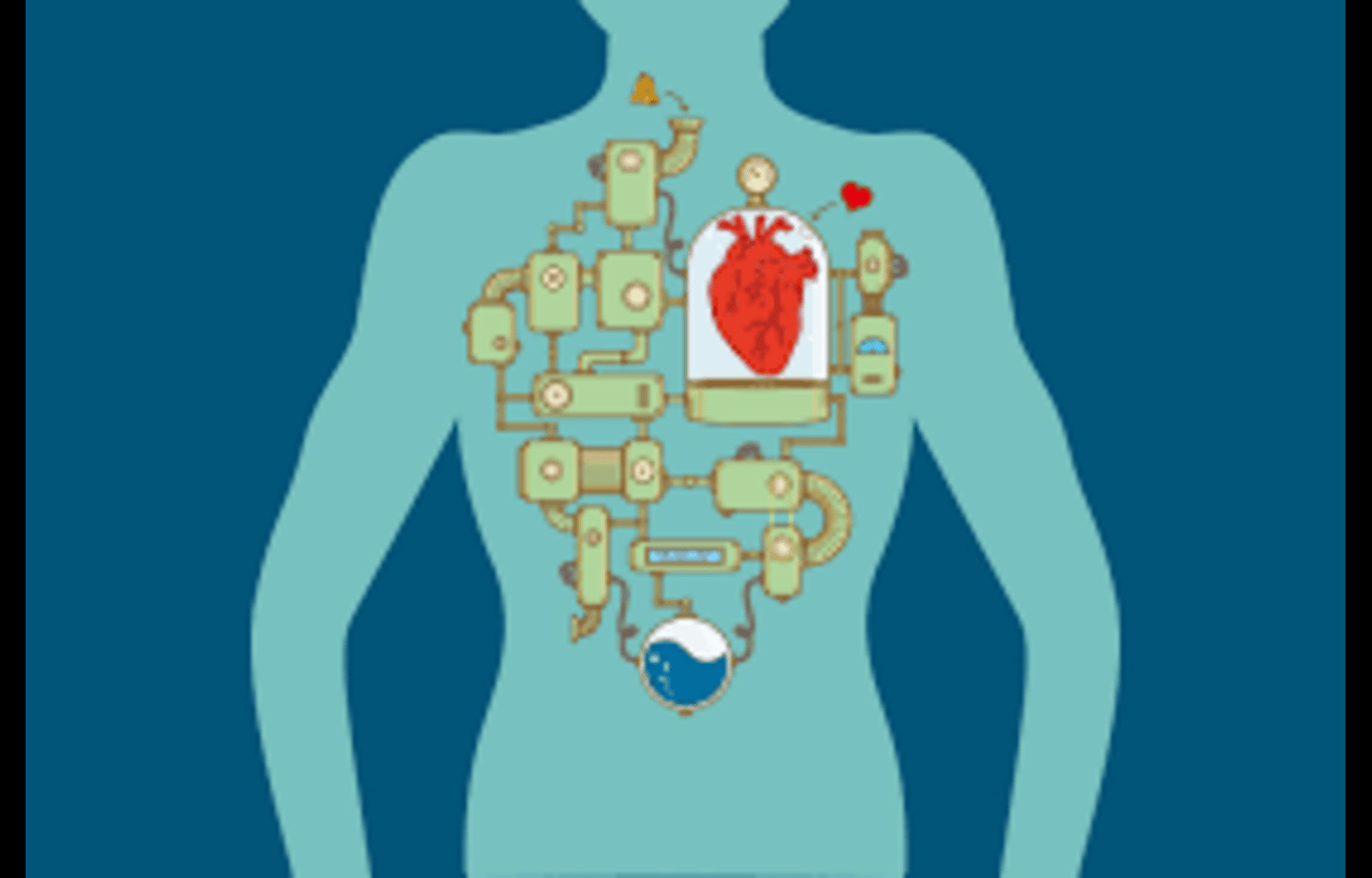 HbA1c Variability Predicts Cardiovascular Risk in T2DM, reveals research