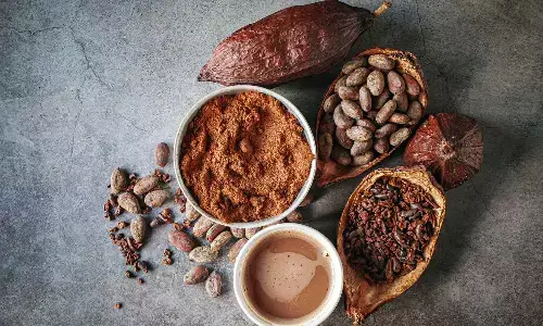 Theobromine from cocoa linked to slower biological aging, suggests research Theobromine from cocoa linked to slower biological aging, suggests research