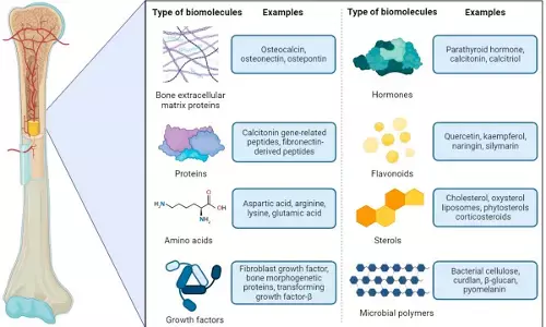Bio-Active Composite Therapy holds transformative potential in regenerative orthopaedics: study