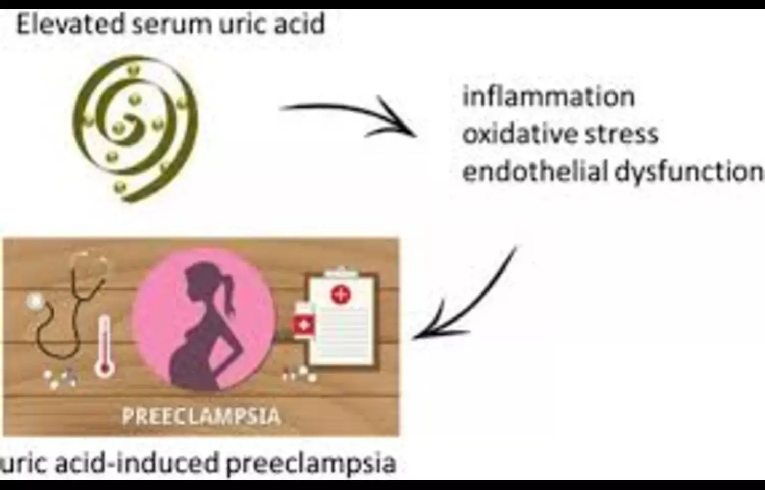 Elevated Maternal Uric Acid during mid gestation may Predict Hypertensive Disorders of Pregnancy: Study