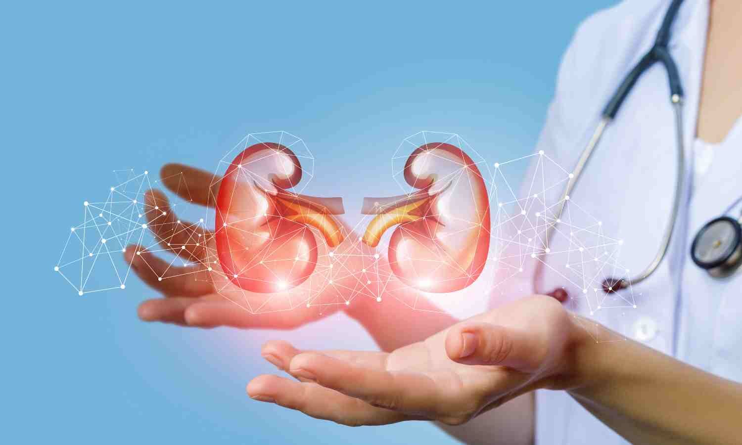 Maha: Illegal kidney transplant racket involving doctors exposed for exploiting farmers
