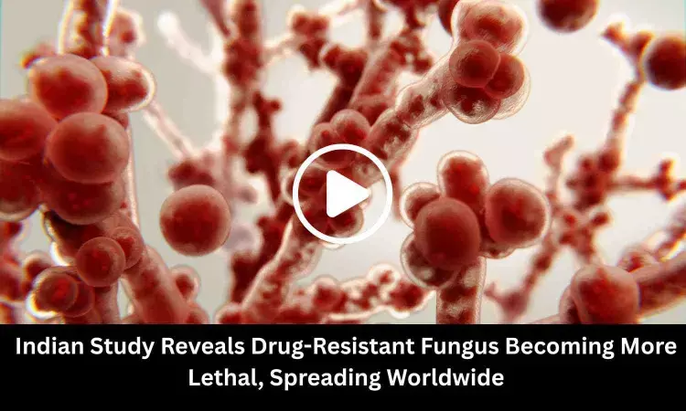 Indian Study Reveals Drug-Resistant Fungus Becoming More Lethal, Spreading Worldwide