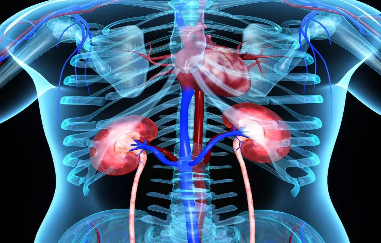 Sacubitril/Valsartan Plus Dapagliflozin slowed kidney function decline in Non-Diabetic Advanced CKD: Study