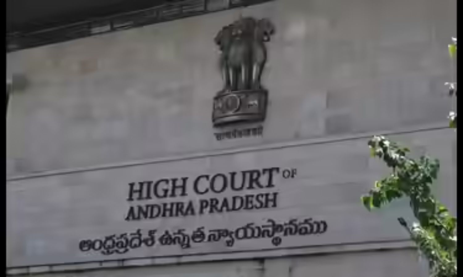 AP HC dismisses plea against medical council elections, cites statutory remedy