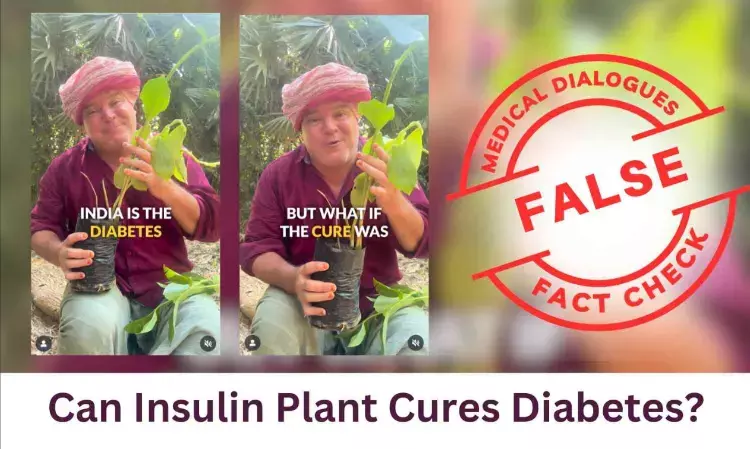 Fact Check: Can Insulin Plant Cures Diabetes? Fact Check: Can Insulin Plant Cures Diabetes?
