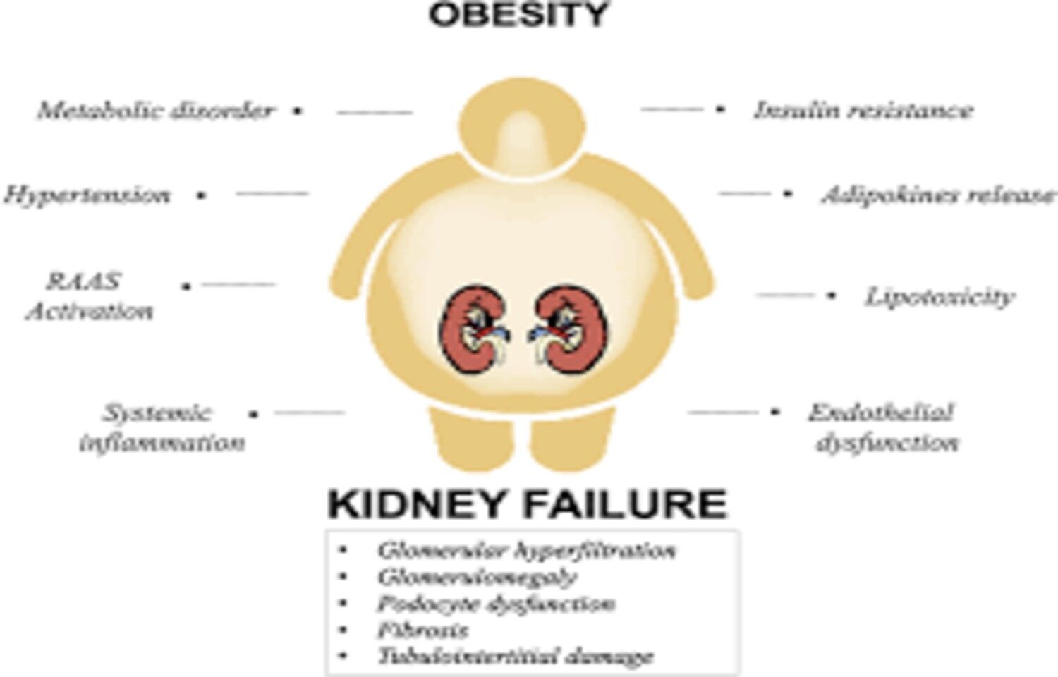 Rising Global Burden of Hypertension-Related CKD Driven by Obesity and Inactivity: Study