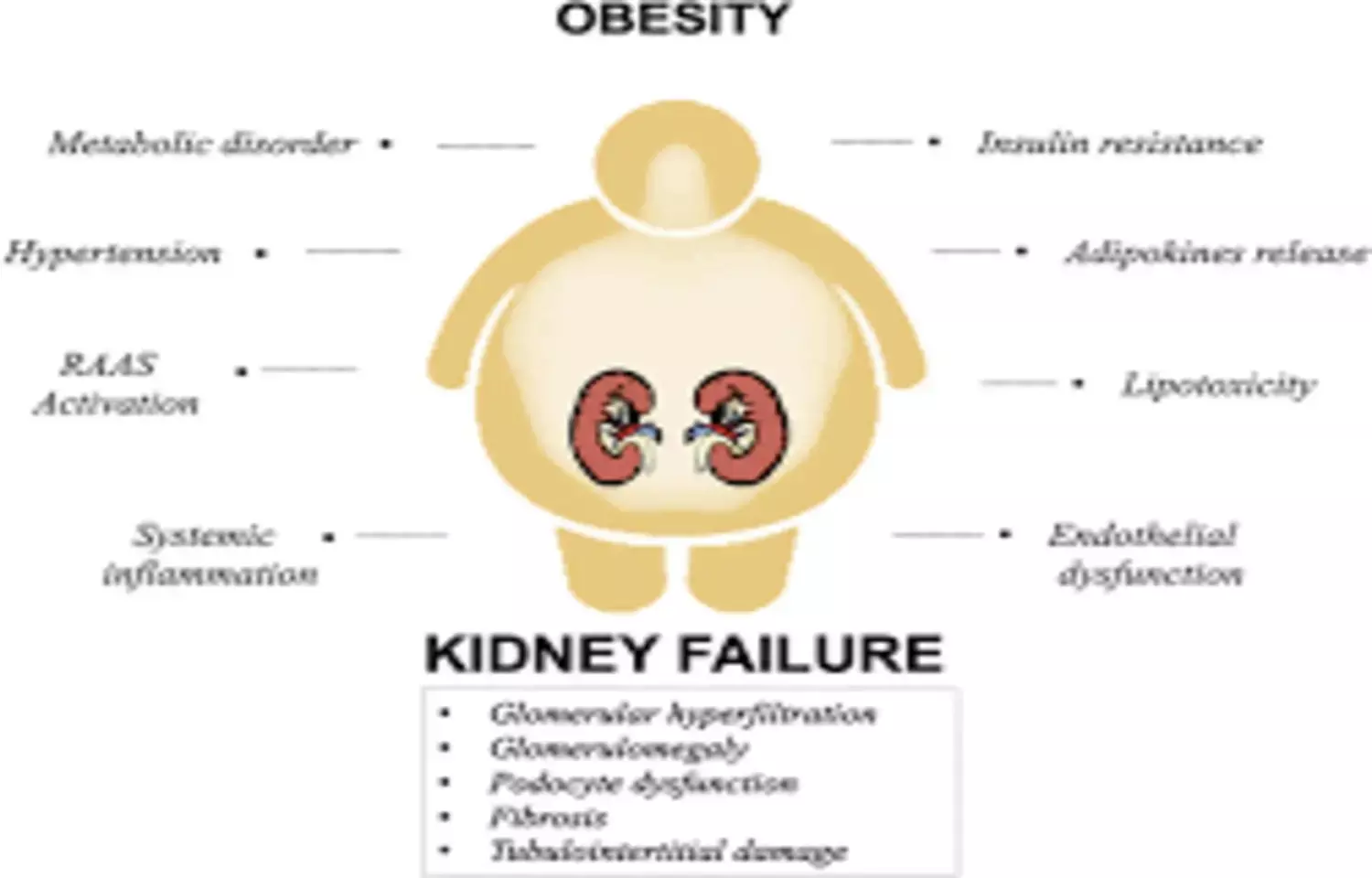 Rising Global Burden of Hypertension-Related CKD Driven by Obesity and Inactivity: Study Rising Global Burden of Hypertension-Related CKD Driven by Obesity and Inactivity: Study