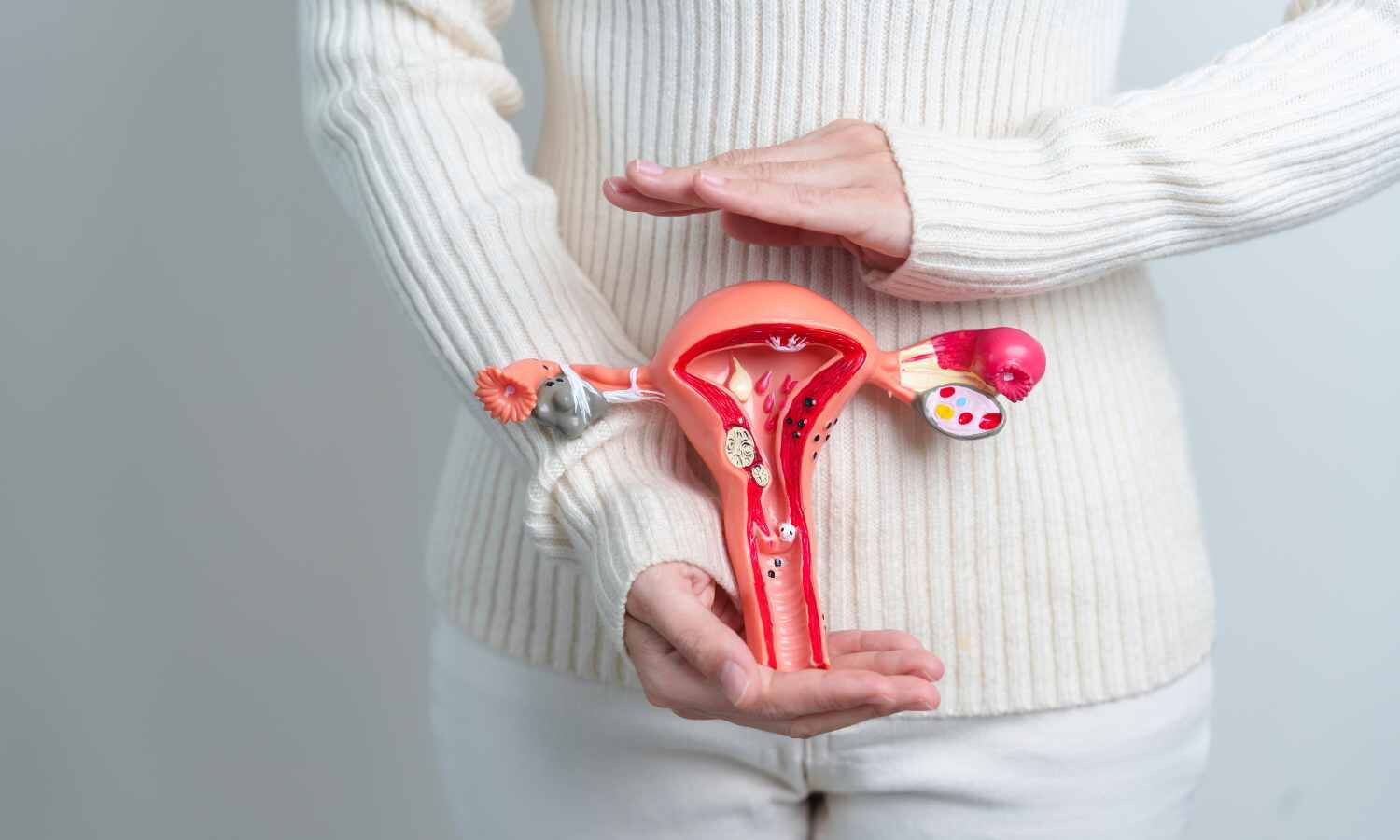 Why Ovaries May Stop Working Early: Insights from a Major Research Review