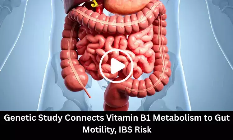 Genetic Study Connects Vitamin B1 Metabolism to Gut Motility, IBS Risk