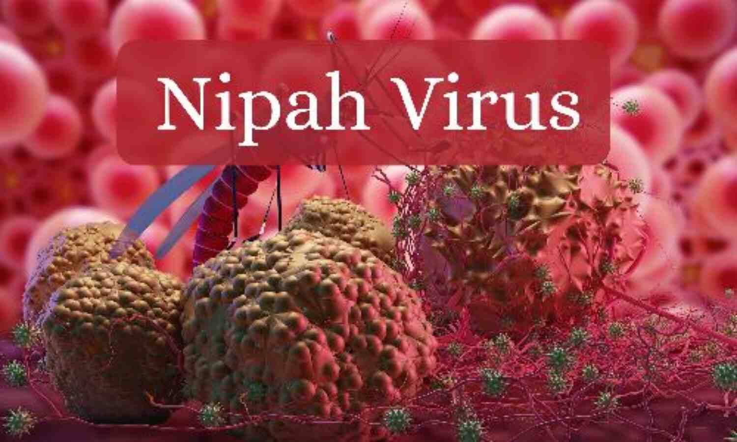 Nipah Virus Remains a Serious Public Health Threat as India Reports New Cases