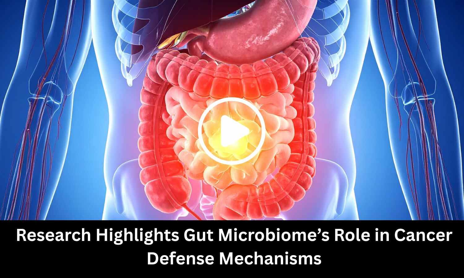 Research Highlights Gut Microbiome's Role in Cancer Defense Mechanisms