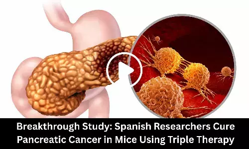 Breakthrough Study: Spanish Researchers Cure Pancreatic Cancer in Mice Using Triple Therapy