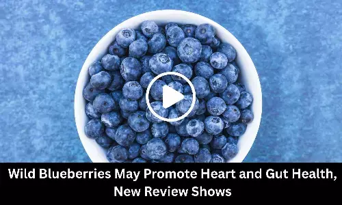 Wild Blueberries May Promote Heart and Gut Health, New Review Shows