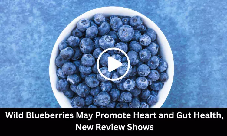 Wild Blueberries May Promote Heart and Gut Health, New Review Shows