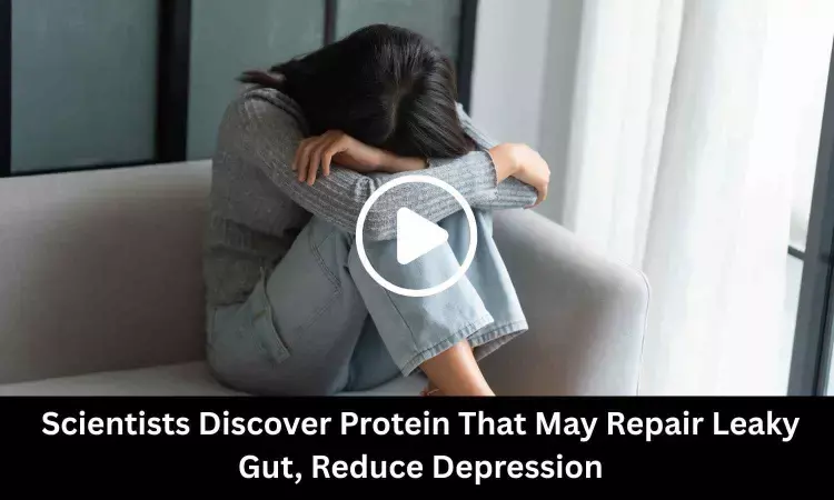 Scientists Discover Protein That May Repair Leaky Gut, Reduce Depression
