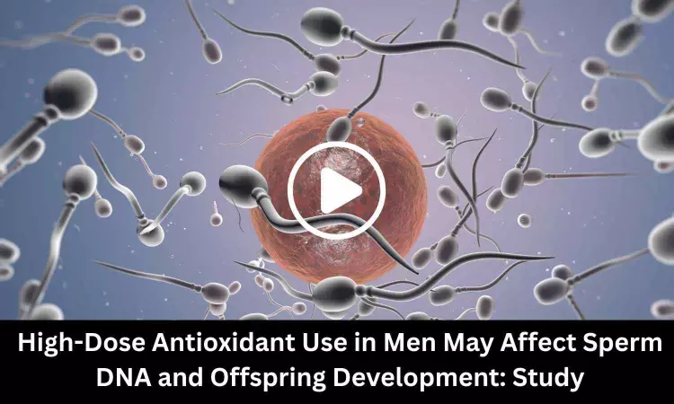 High-Dose Antioxidant Use in Men May Affect Sperm DNA and Offspring Development: Study Finds