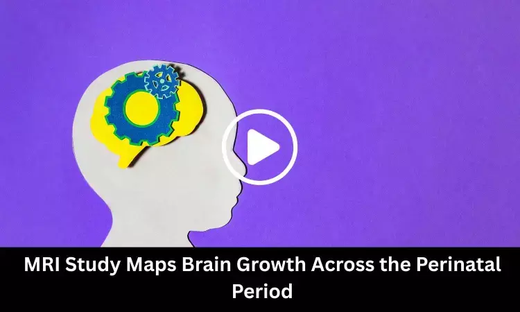 MRI Study Maps Brain Growth Across the Perinatal Period