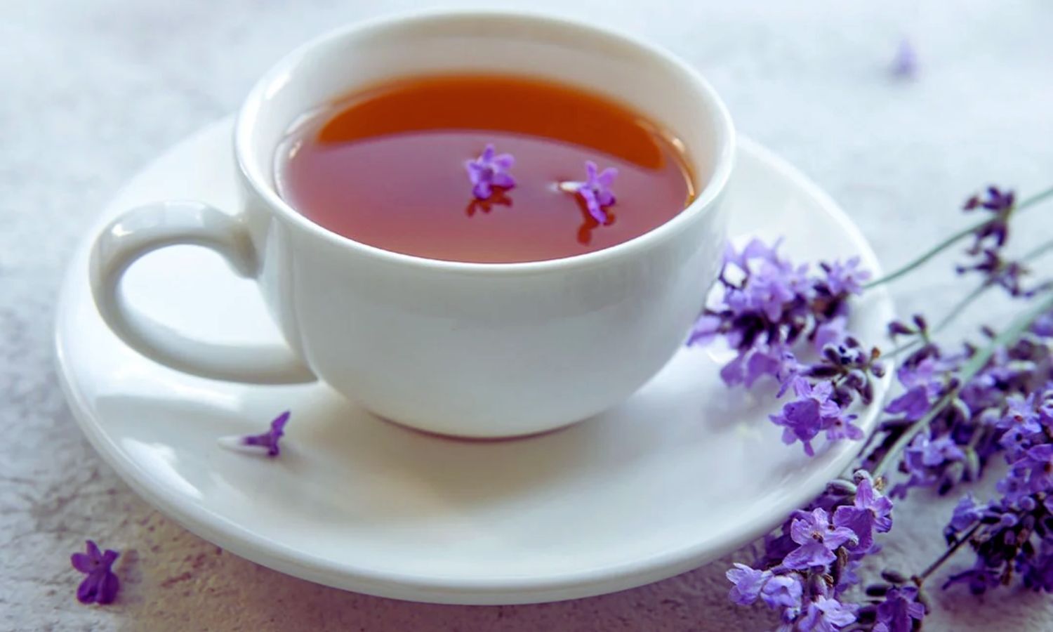 Two Weeks of Lavender Tea Linked to Improved Mental Health in Misophonia Patients: RCT Suggests