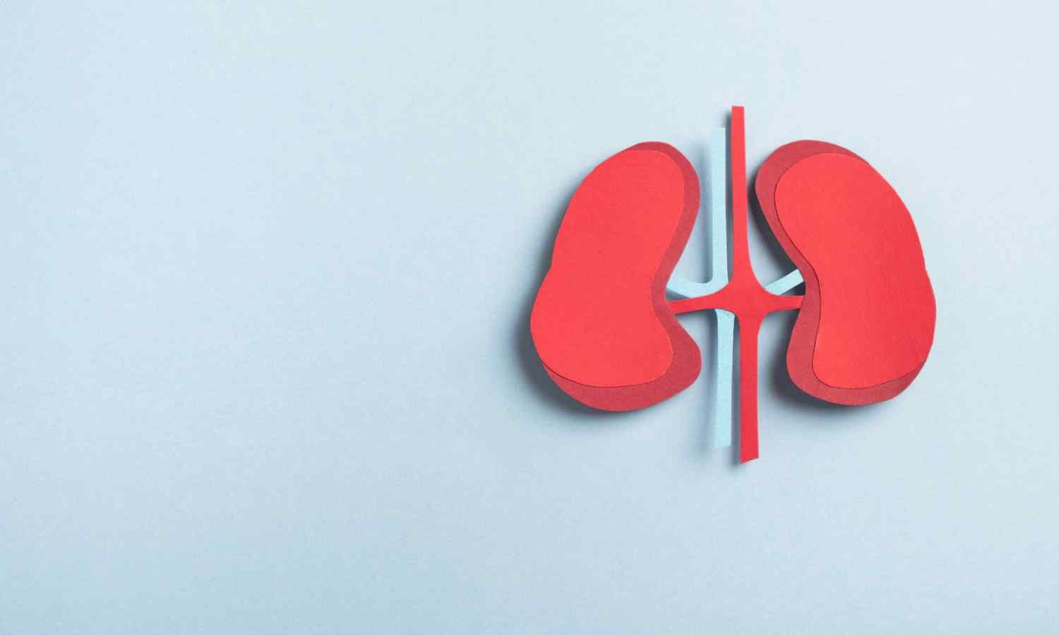 MAJESTY Phase 3 Trial: Obinutuzumab shows positive efficacy and safety outcomes in Primary Membranous Nephropathy