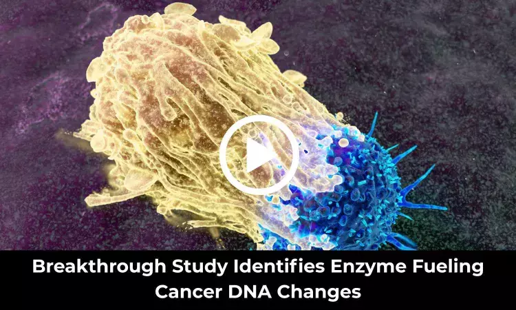Breakthrough Study Identifies Enzyme Fueling Cancer DNA Changes