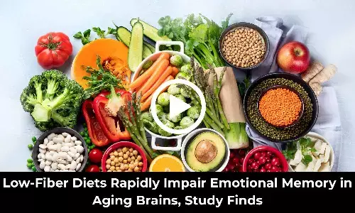 Refined Diets Without Fiber May Trigger Early Memory Changes in Ageing Brain: Study Refined Diets Without Fiber May Trigger Early Memory Changes in Ageing Brain: Study