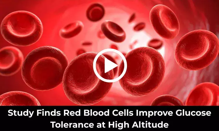 Study Finds Red Blood Cells Improve Glucose Tolerance at High Altitude