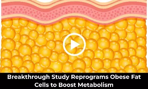 Breakthrough Study Reprograms Obese Fat Cells to Boost Metabolism