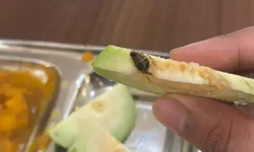 UG Students Allege Worms, Insects in Mess Food at AIIMS, Nagpur.