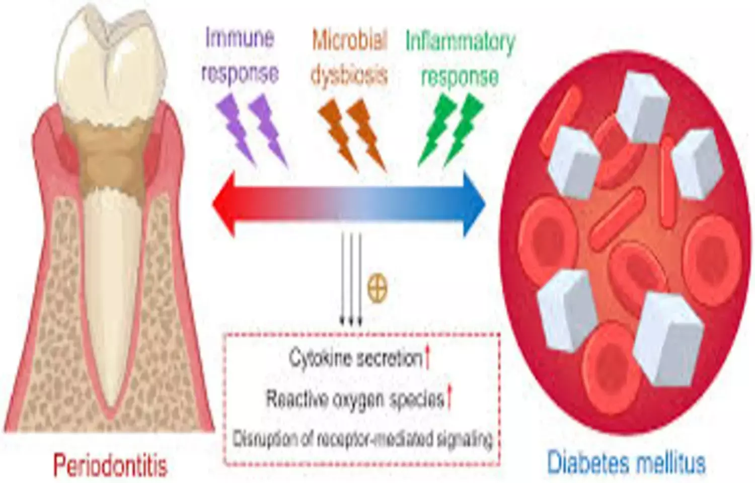 Melatonin Adjunct Therapy Improves Glycemic Control in T2DM with Periodontitis: Study Melatonin Adjunct Therapy Improves Glycemic Control in T2DM with Periodontitis: Study