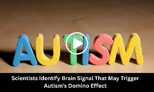 Scientists Identify Brain Signal That May Trigger Autism’s Domino Effect