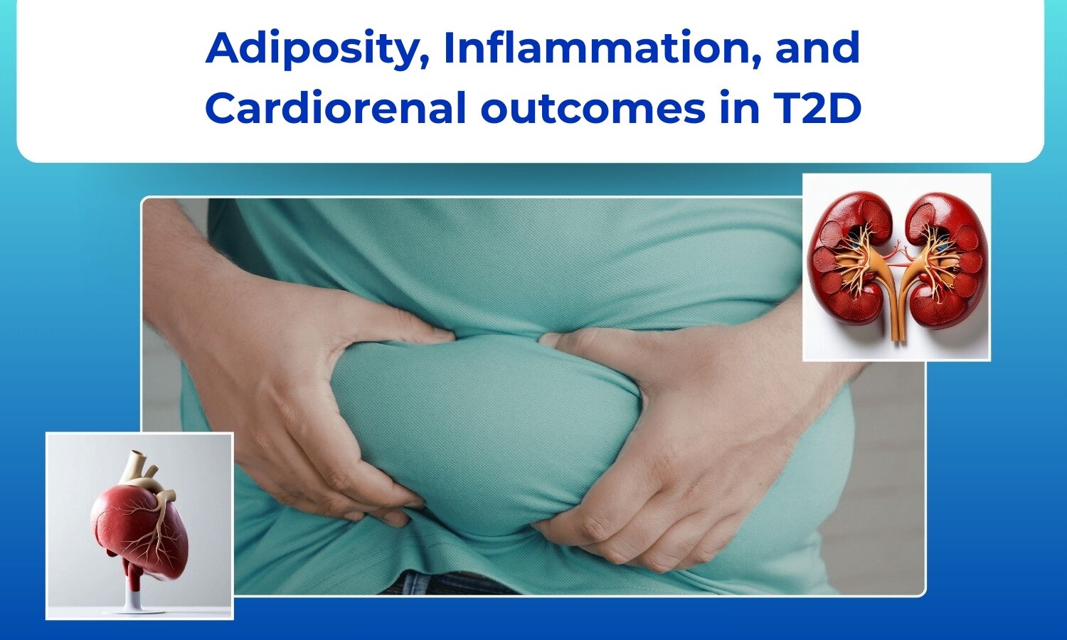 The Adiposity-Inflammation Axis in T2D: Implications for Heart and Kidney