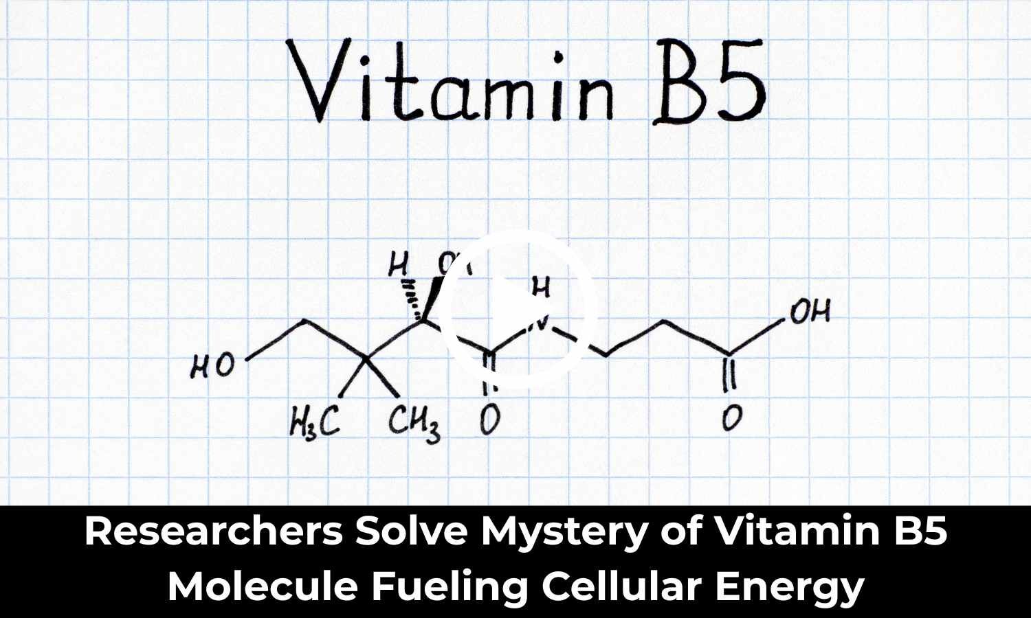 Researchers Solve Mystery of Vitamin B5 Molecule Fueling Cellular Energy