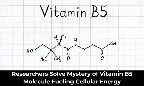Researchers Solve Mystery of Vitamin B5 Molecule Fueling Cellular Energy