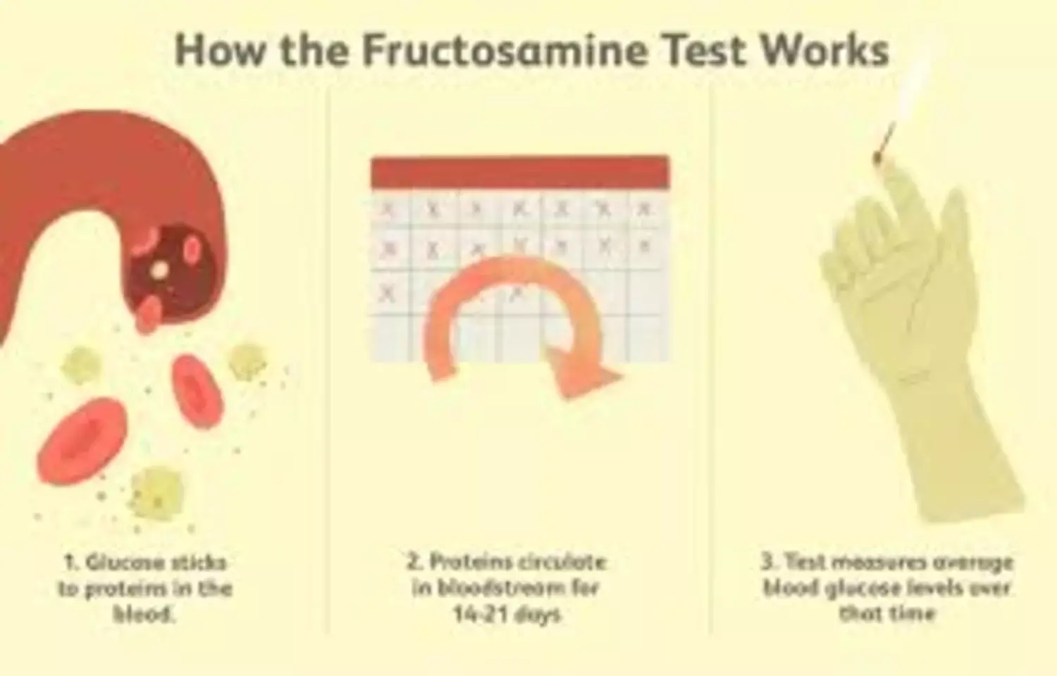 Fructosamine and HbA1c may act as Complementary Markers during Pregnancy in women with diabetes: Study