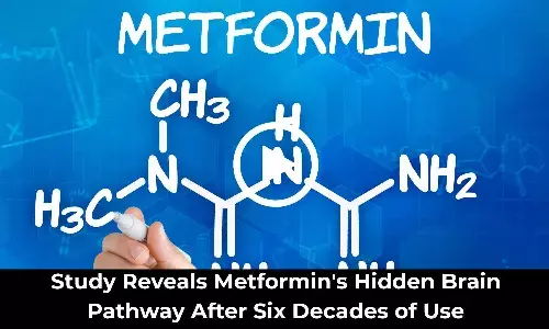New Study Reveals Brain Pathway in Metformin’s Glucose-Lowering Effect