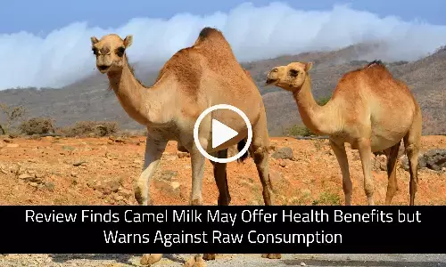 Review Finds Camel Milk May Offer Health Benefits but Warns Against Raw Consumption