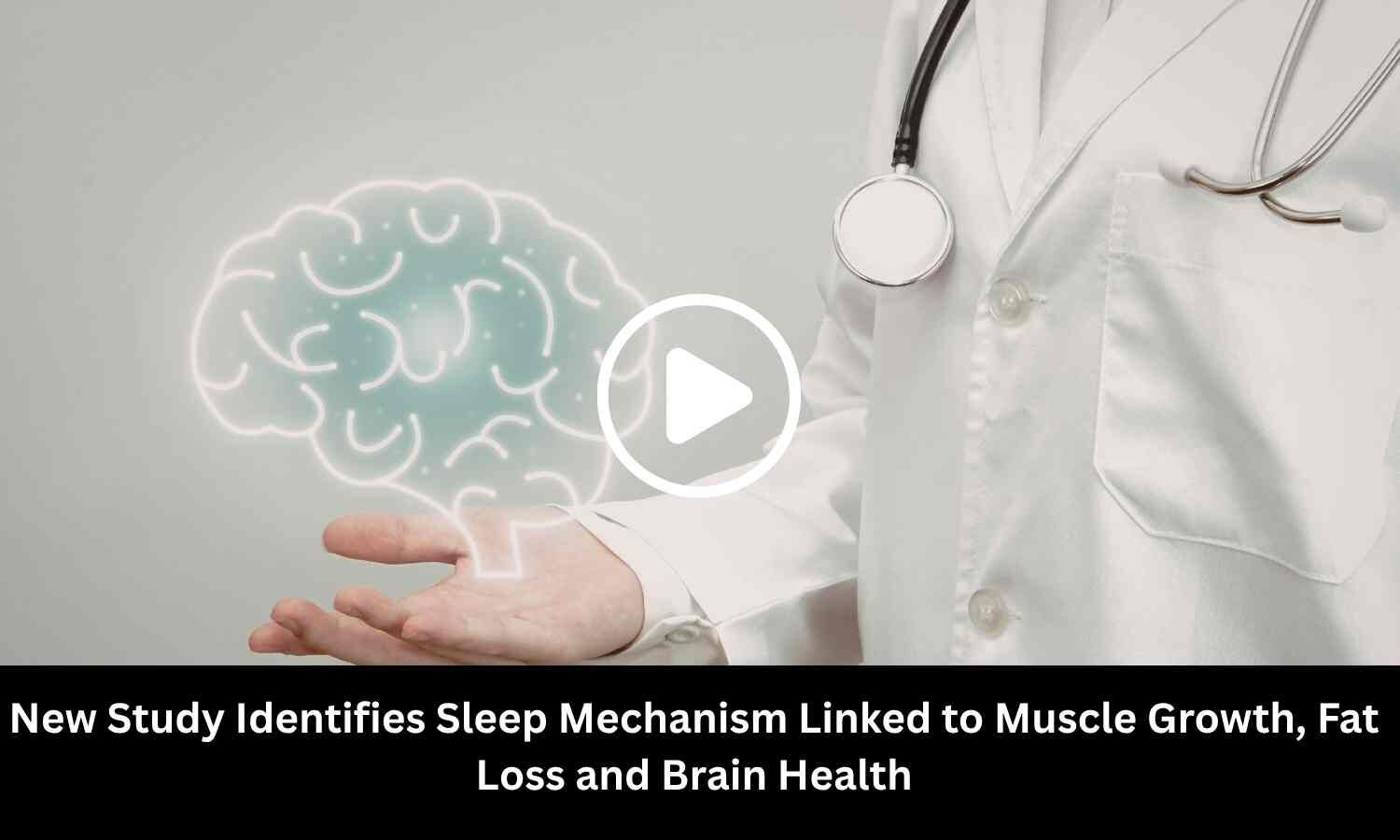New Study Identifies Sleep Mechanism Linked to Muscle Growth, Fat Loss and Brain Health