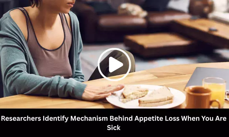 Researchers Identify Mechanism Behind Appetite Loss When You Are Sick