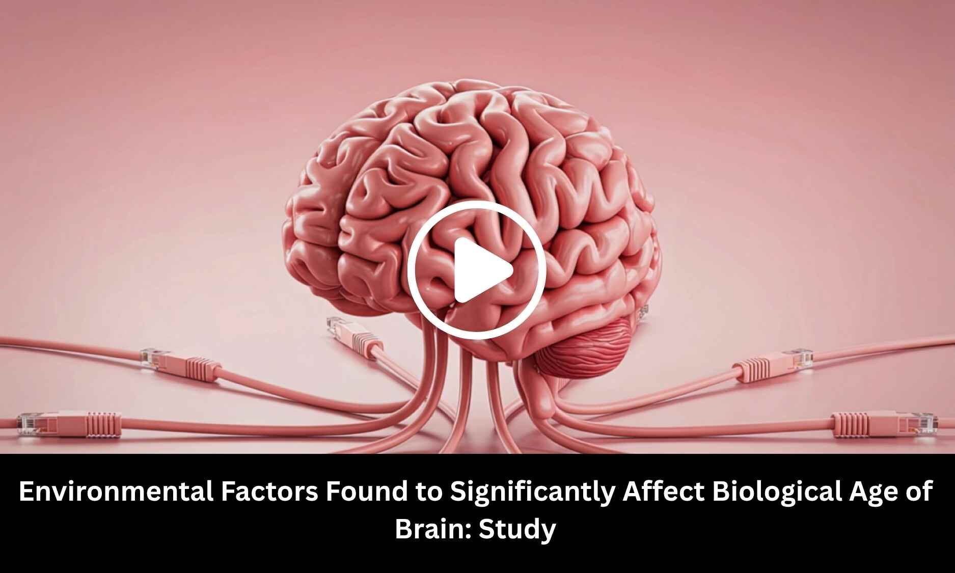 Environmental Factors Found to Significantly Affect Biological Age of Brain: Study