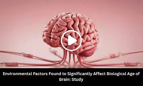 Environmental Factors Found to Significantly Affect Biological Age of Brain: Study