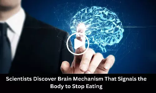 Scientists Discover Brain Mechanism That Signals the Body to Stop Eating