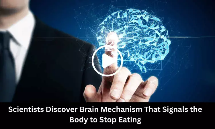 Scientists Discover Brain Mechanism That Signals the Body to Stop Eating