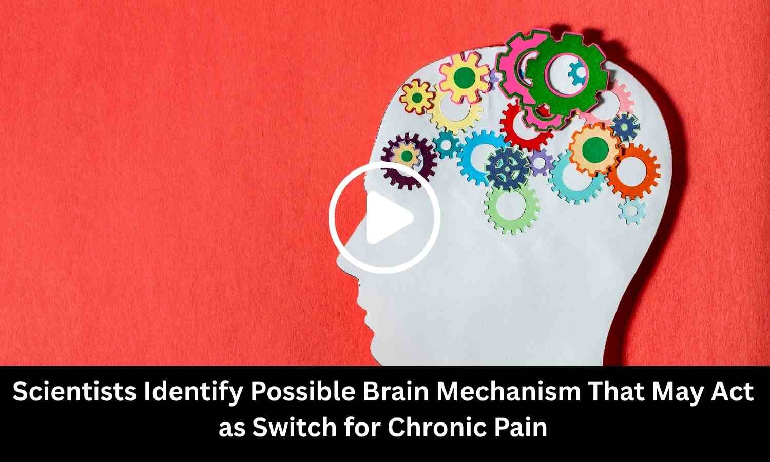 Scientists Identify Possible Brain Mechanism That May Act as Switch for Chronic Pain