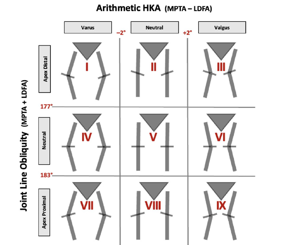 CPAK classification allows TKA surgeons to tailor knee alignment better ...